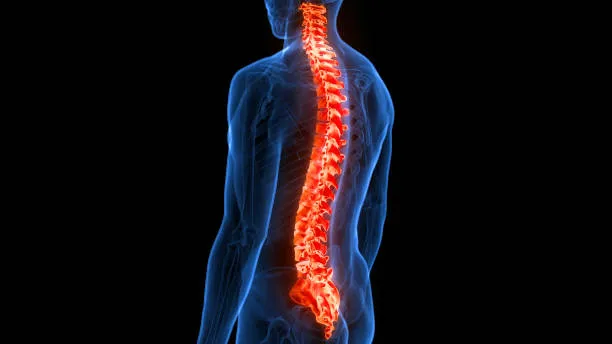 Orthopedic Excellence Near You: Dr. Rakesh Gosavi ...