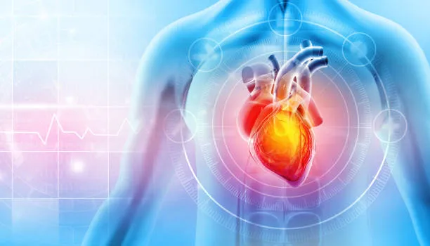 Navigating the Terrain of Cardiovascular Health: A...