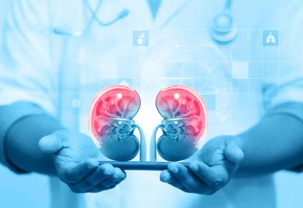 Dialysis Products and Renal Nutrition: A Holistic ...