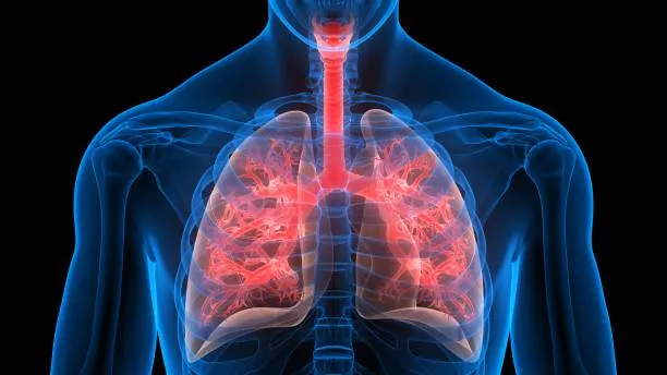 Galaxy Chest Hospital: Your Trusted Destination fo...