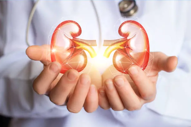 Navigating Renal Health: Expert Guidance at Sharad...