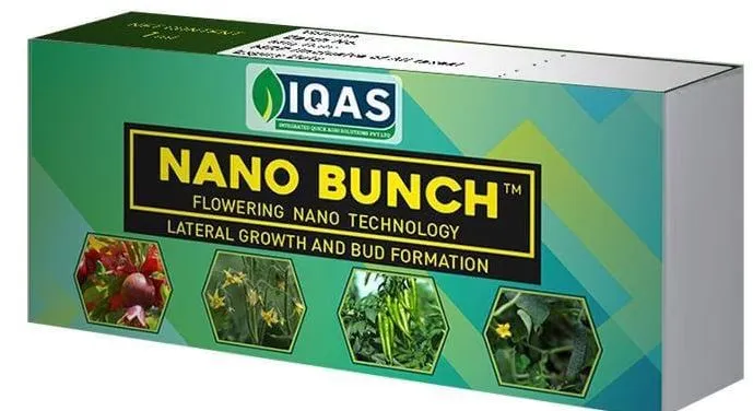 SOIL IQASAN Excellence - Your Trusted and Top-Qual...