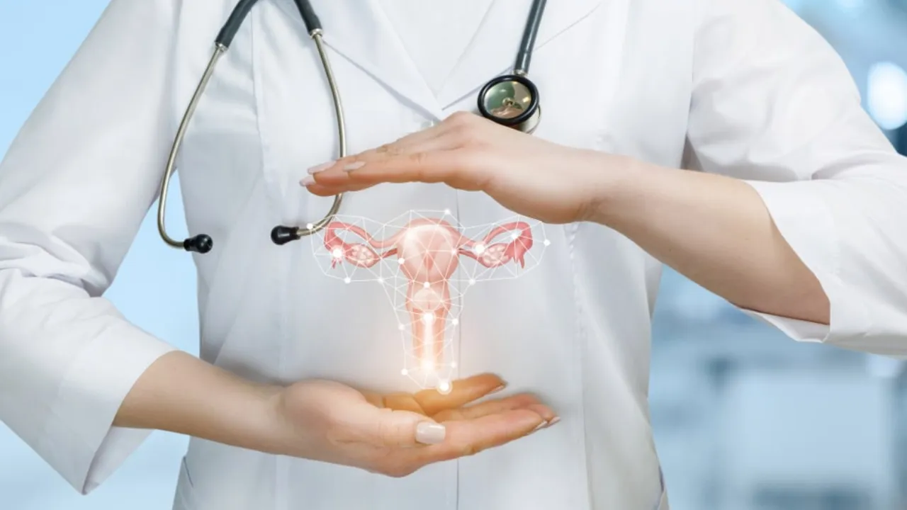 Ggynecologist Hospital in Thane
Ggynecologist Hosp...