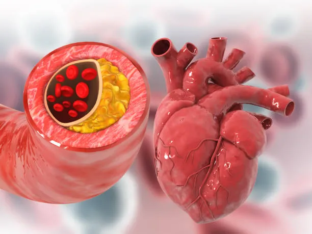 Navigating Heart Health: The Definitive Guide from...