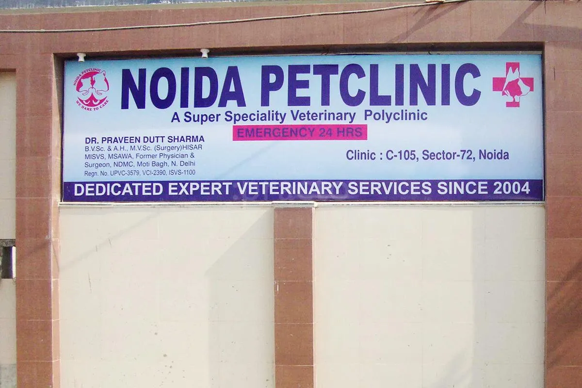 Noida Pet Clinic: Where Your Pet's Well-being Take...