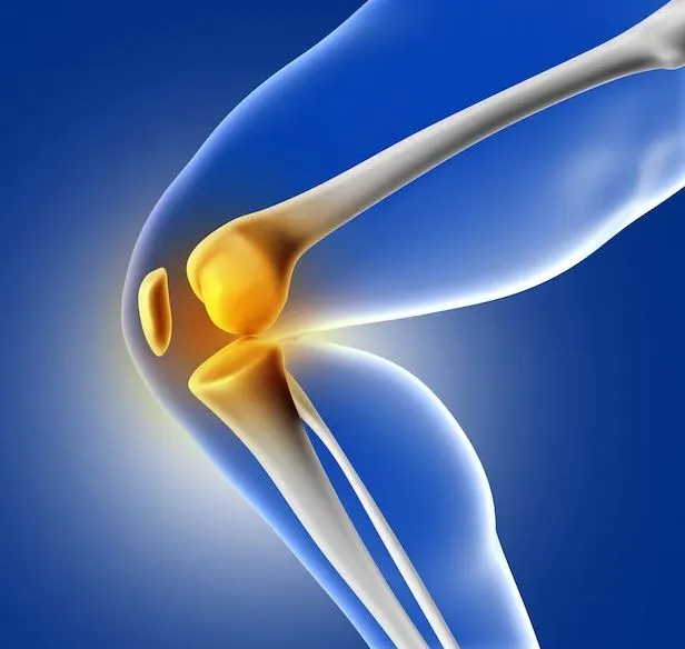 Excellence in Motion: Dr. Saraf's Joints Clinic - ...