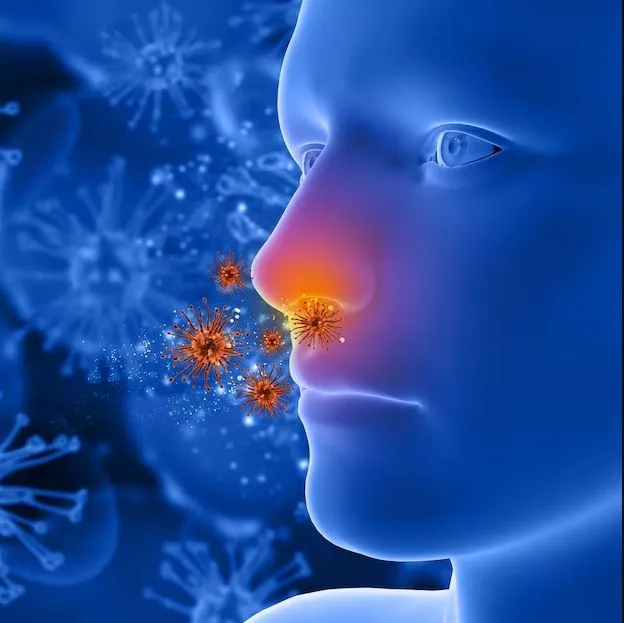 Pilonidal Sinus Mastery – Dr. Sandeep Shekhar's Un...