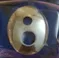 Toto spares, Toto parts, Toto spare parts, S619 (C...
