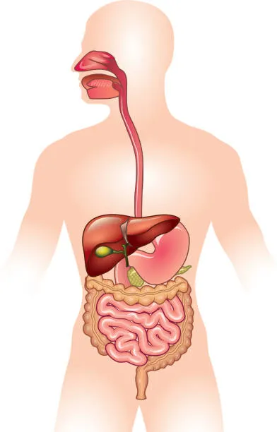 Latest Blog on GI Cancers. Early Diagnosis is the ...