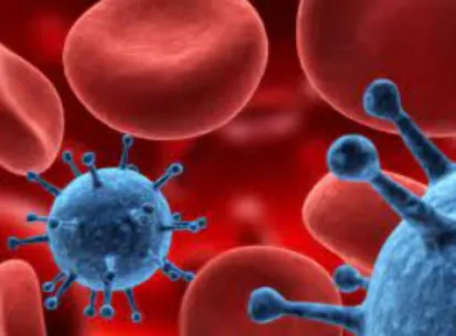 Pinnacle of Expertise: Best Hemato-Oncologist Nagp...