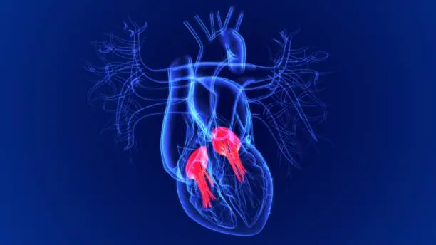 Best Valve Surgery at Dr K G Deshpande Memorial Ce...