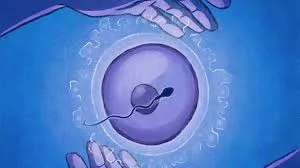 Test Tube Baby Center in Ghodbunder Road Thane
B...