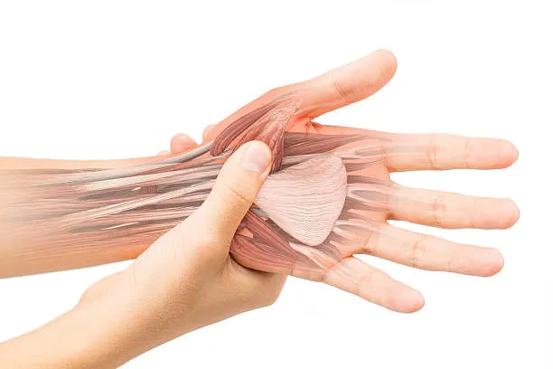 Swift Recovery: Arthroscopic Approaches to Ligamen...