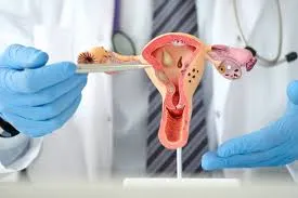 Best Gynecologist in Khopat Thane
Gynecologist Do...