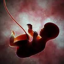Ivf clinic in Kolbad Road thane
best ivf Treatmen...