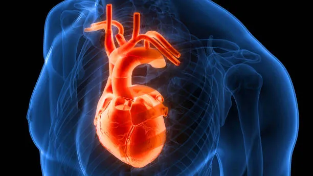 SR Heart Clinic: Your Partner in the Fight Against...
