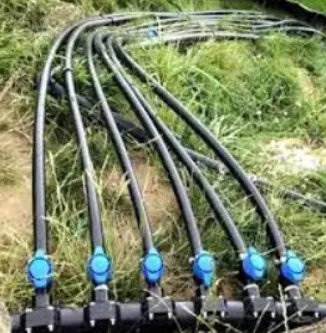 Sustainable Solutions for Irrigation with Drip Pip...