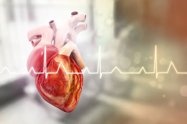 The Journey to Heart Health: SR Heart Clinic's Com...