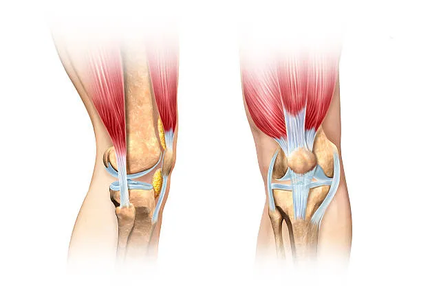 Dr. Rakesh Gosavi: Your Nashik Specialist for Liga...