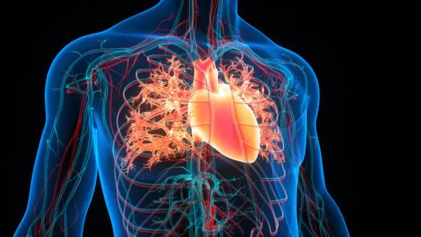 SR Heart Clinic: Empowering Hearts, Enriching Live...