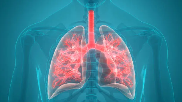 Revolutionizing Pulmonary Care: Galaxy Chest Hospi...