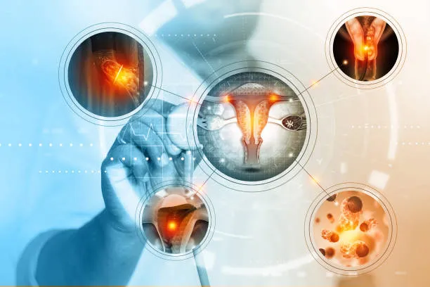 Redefining Gynecological Excellence: Your Trusted ...