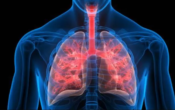 Galaxy Chest and Multi Specialty Hospital: Your Pr...