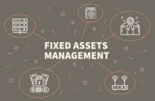 Fixed Asset Management The balance sheet of any co...