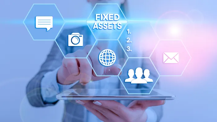 FIXED ASSET MANAGEMENT SERVICES VSourcing offers i...