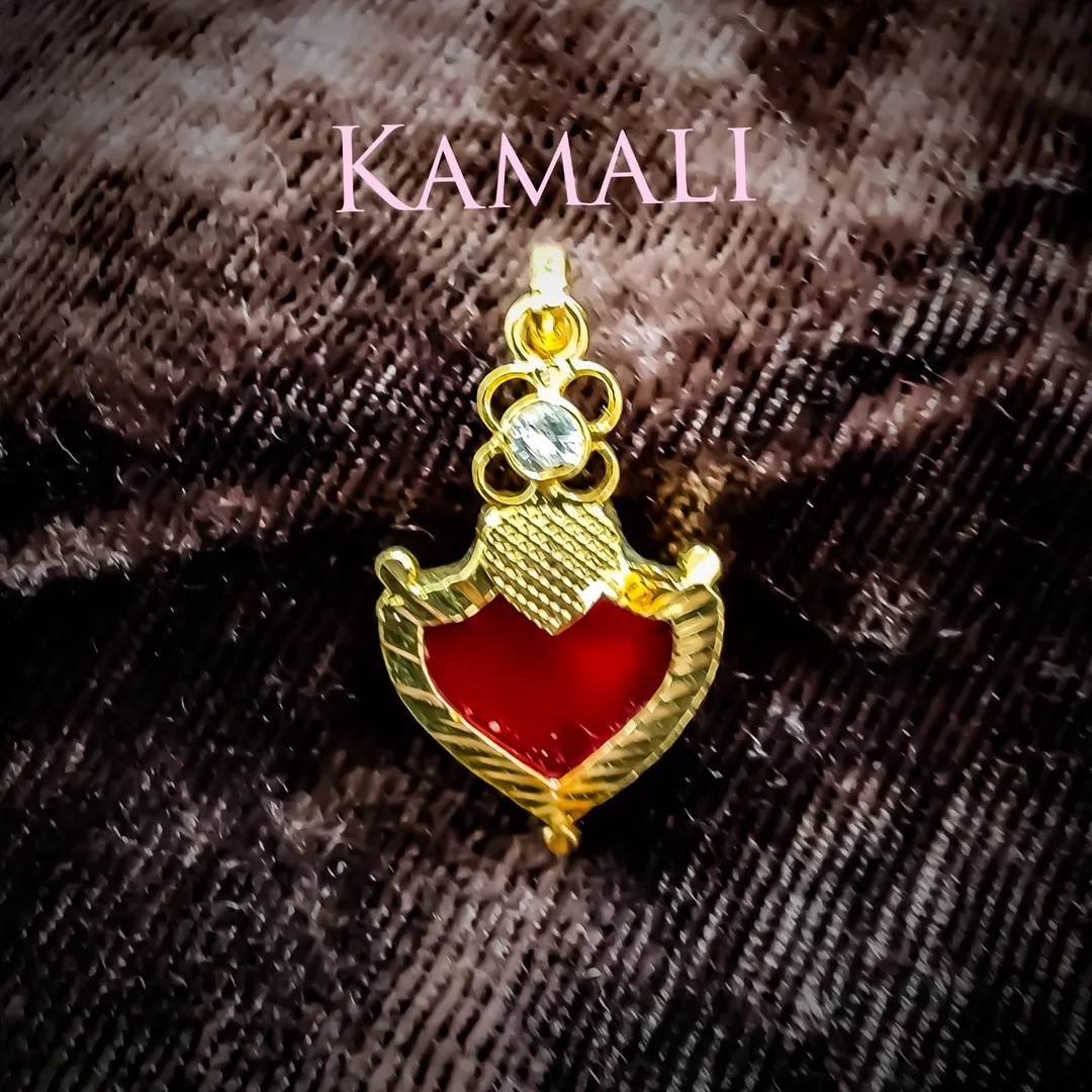 Pallaka Jewellery
Kamali Artificial Gold Plated J...