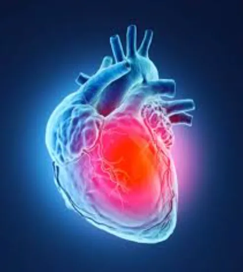 Preventing Heart Disease: SR Heart Clinic's Holist...