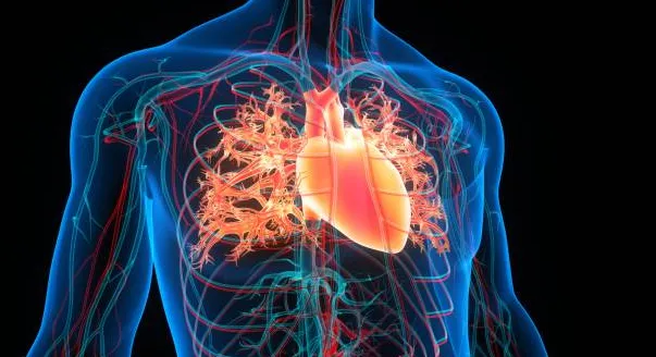 Managing Coronary Artery Disease at SR Heart Clini...