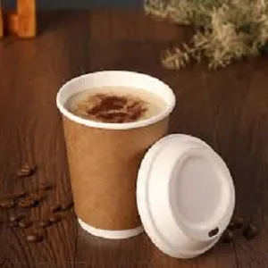 PLAIN PAPER DUBBLE WALL GLASSES WITH LID MANUFACTU...