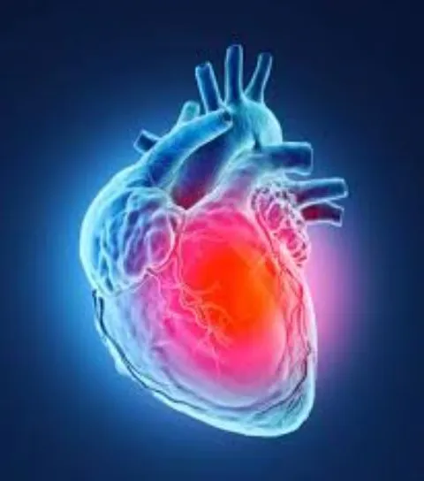 Comprehensive Cardiac Care at SR Heart Clinic, Che...