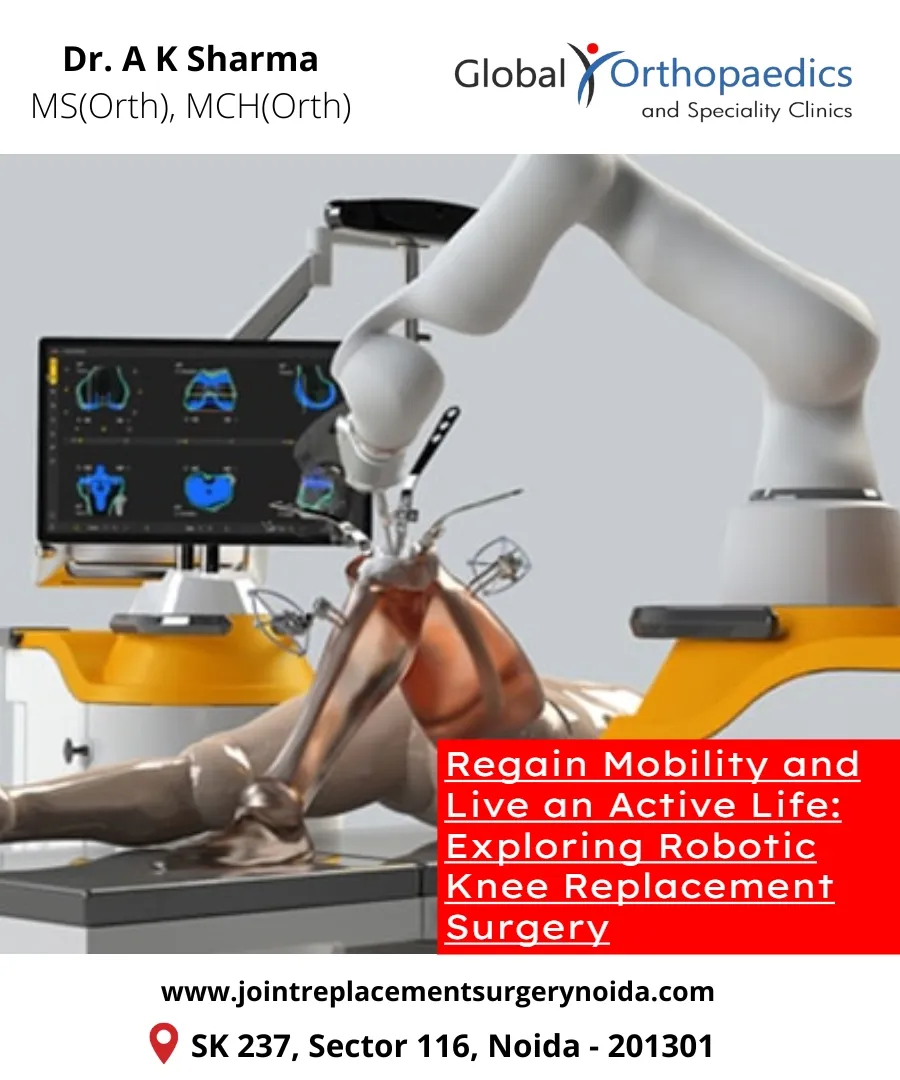 Regain Mobility and Live an Active Life: Exploring...