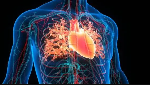 Comprehensive Care for Heart Disease at SR Heart C...