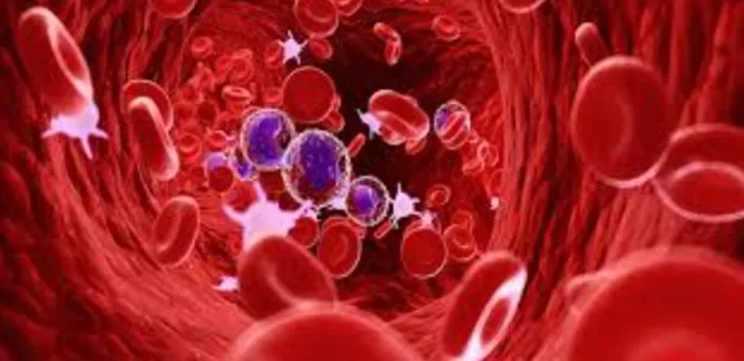 Best Hematologist in Nagpur Dr. Atish Bakane: Lead...