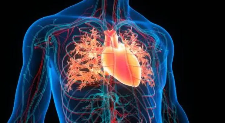 Leading the Way in Heart Disease Prevention at SR ...