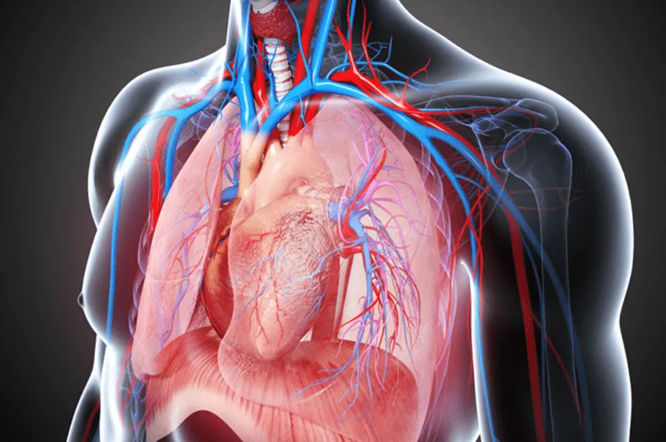 Leading Thoracic Surgery in Nagpur Expert Thoracic...