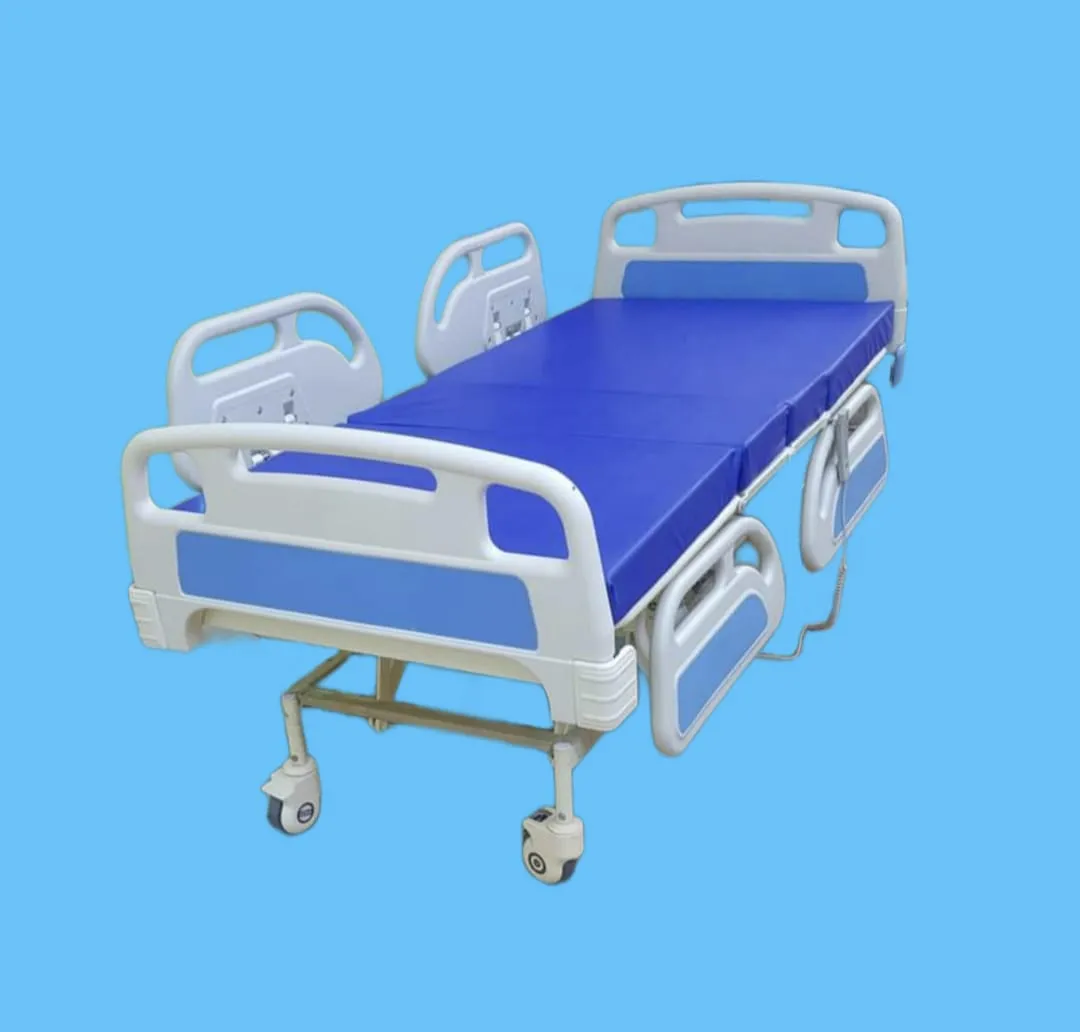 ICU Bed Electric (ABS Panels & ABS Side Railings) ...