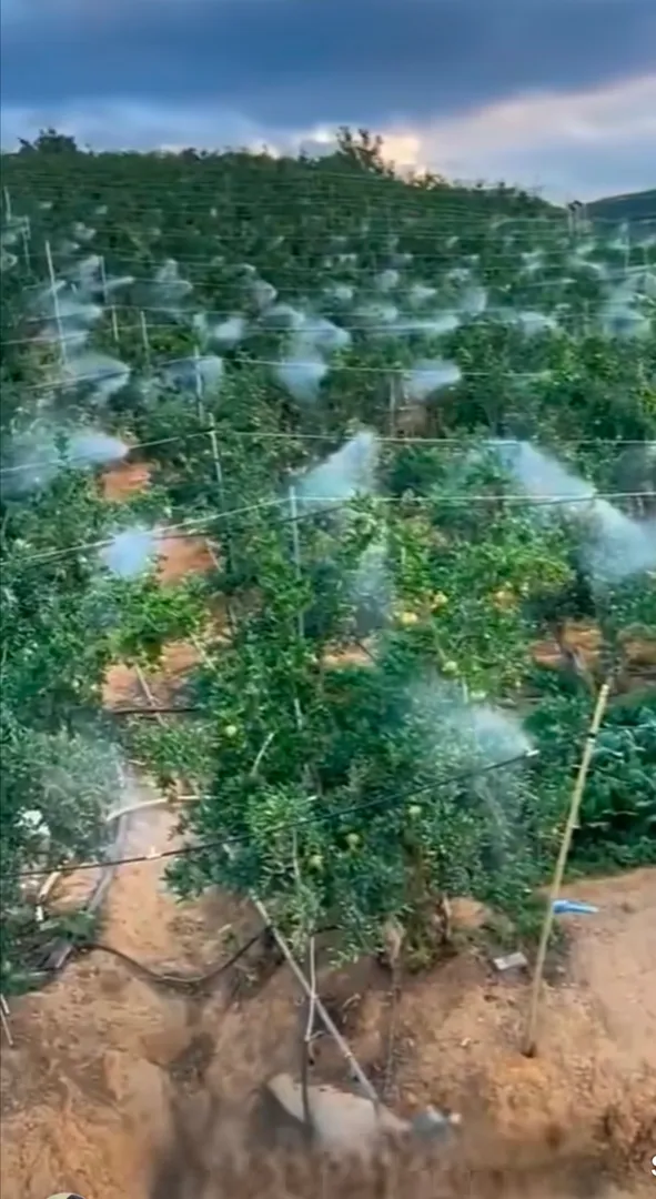 High pressure misting comapny in nagpur, wardha, k...