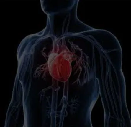 Heart Disease: A Growing Concern Heart disease is ...