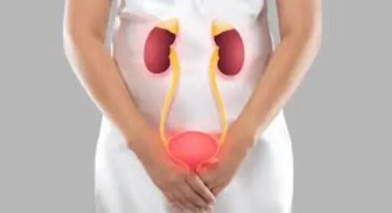 Effective Urinary Infection Treatment in Thane: Yo...