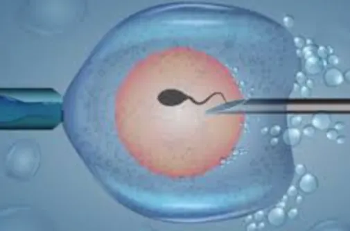 IVF treatment near me Leading IVF Clinic in Thane:...