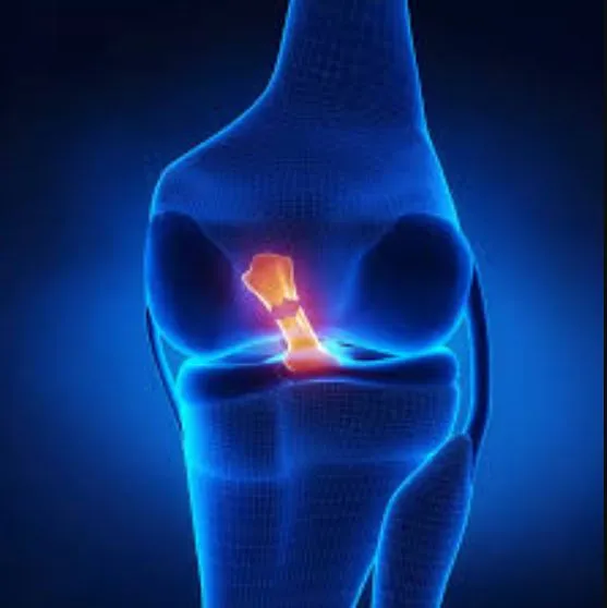Advanced ACL Tear Treatments by Dr. Rakesh Gosavi ...