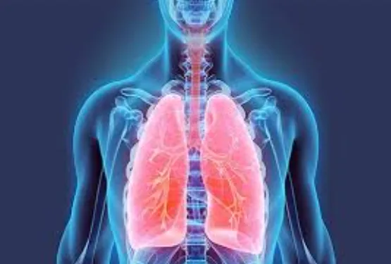 Top Chest Specialists Best Chest Specialist Near M...