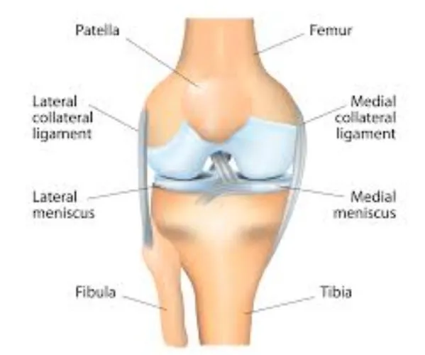Expert Treatment for Lateral Meniscus Tears by Dr....