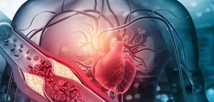 Vascular Surgery Excellence at Dr. K G Deshpande M...