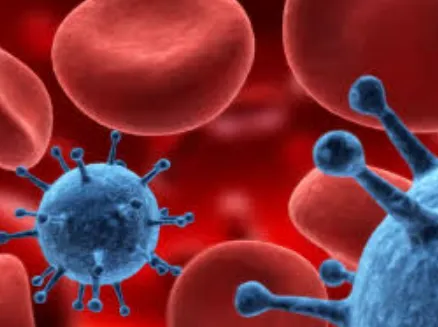 Best Hemato-Oncologist in Nagpur Top Hemato-Oncolo...