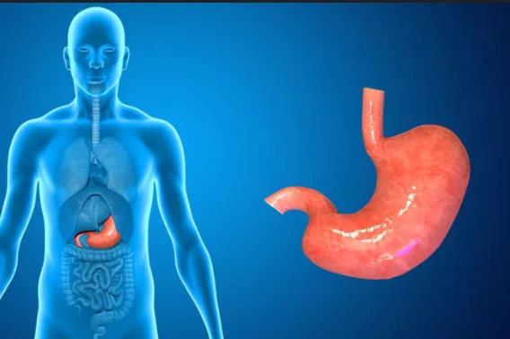Gastro Treatment at Shree Homoeopathic Clinic in P...
